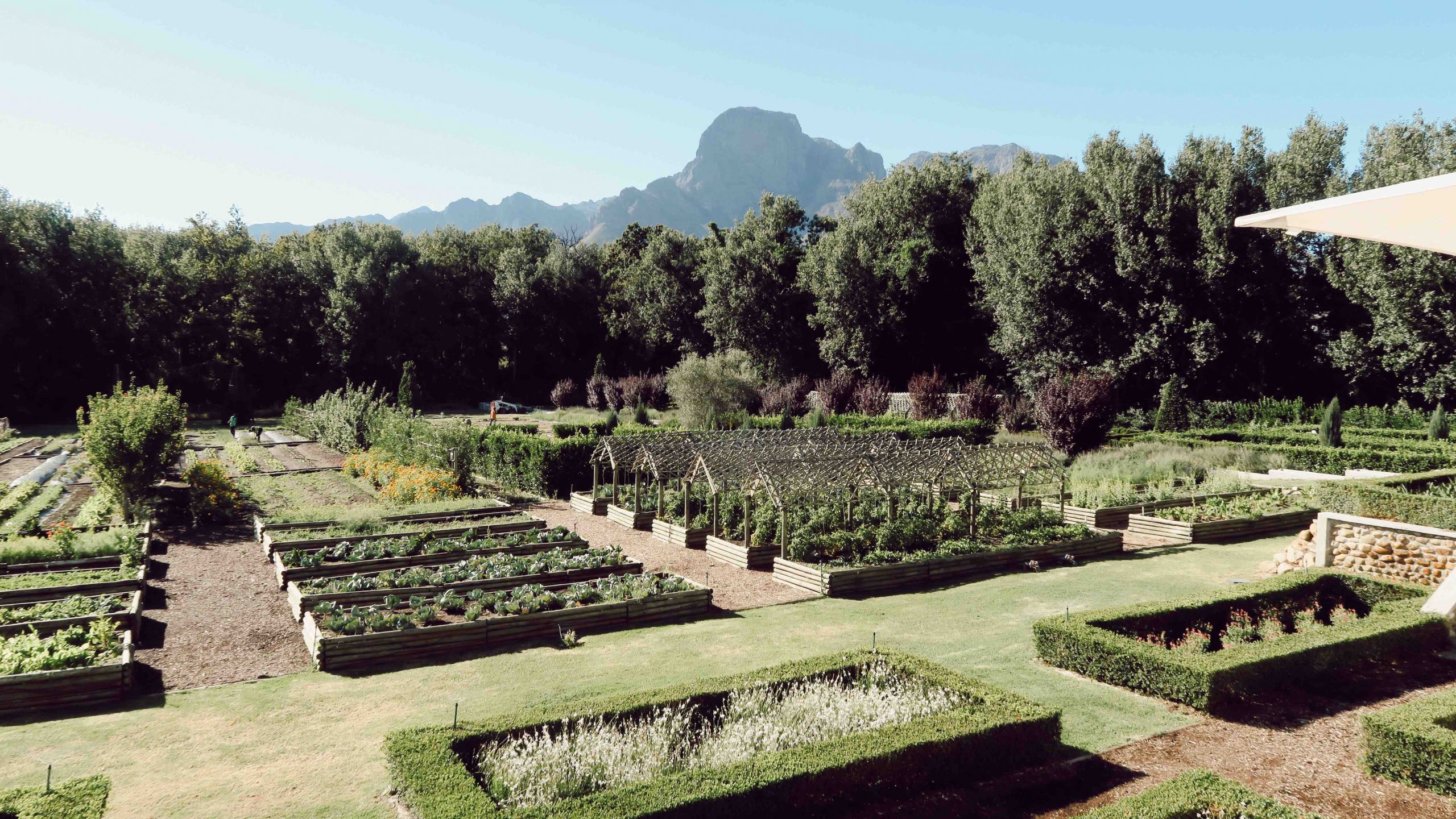 The Food Garden