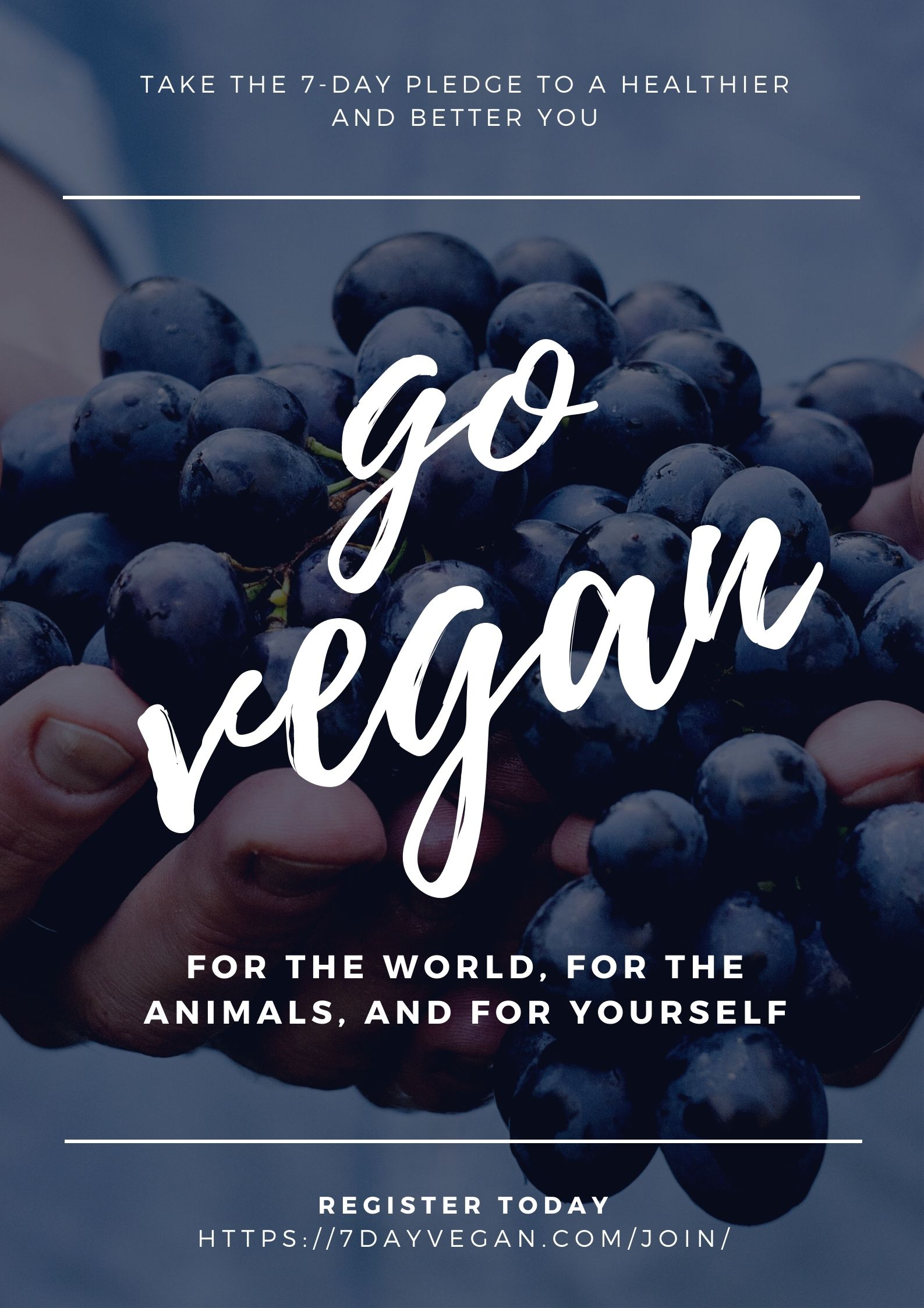 Pureology World Vegan Day Challenge